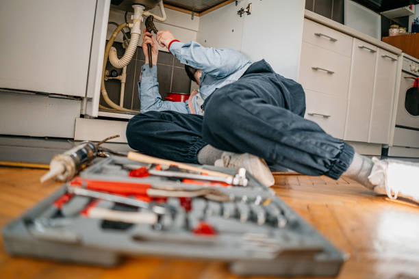Best Water Leak Repair  in Mount Morris, IL