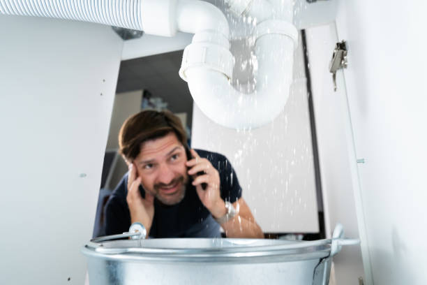 Best Emergency Plumbing Repair  in Mount Morris, IL