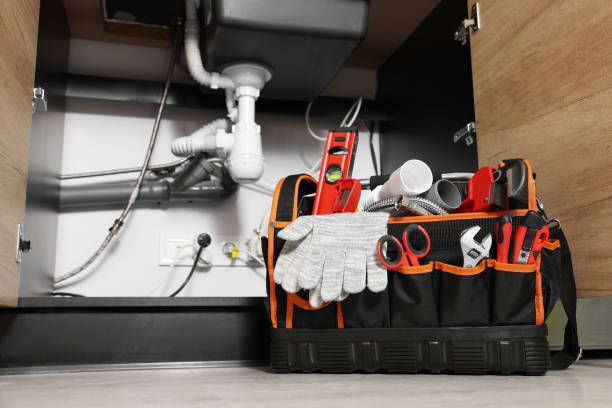 Best Affordable Plumber Near Me  in Mount Morris, IL