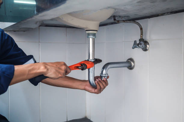 Best Plumbing Inspection Services  in Mount Morris, IL