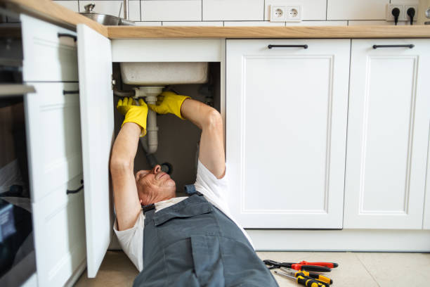 Best Plumbing Installation Services  in Mount Morris, IL