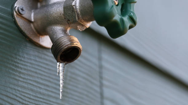 Best 24-Hour Plumber Near Me  in Mount Morris, IL