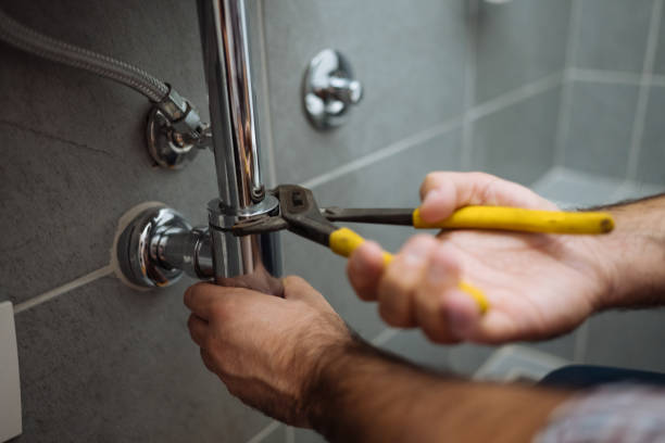 Best Best Plumbers Near Me  in Mount Morris, IL
